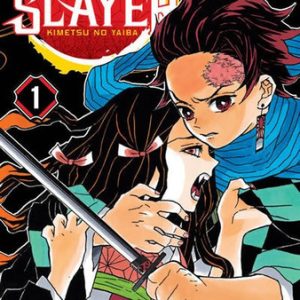 Manga Demon Slayer: Kimetsu No Yaiba, vol. 01. Ivrea